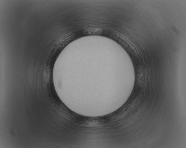 X0000116320604200912291535