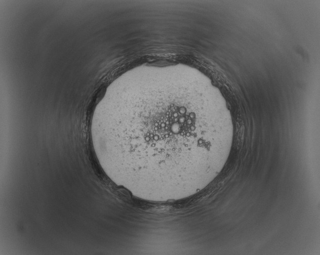 X0000116320609200912291534