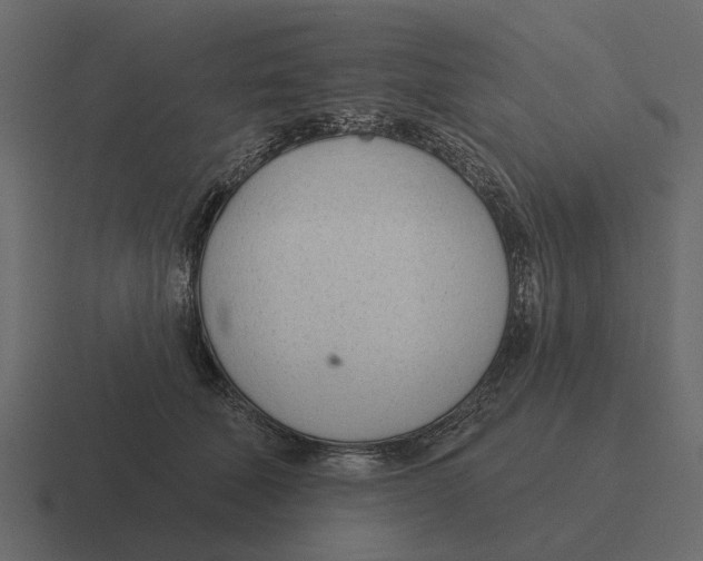 X0000116320610200912291534