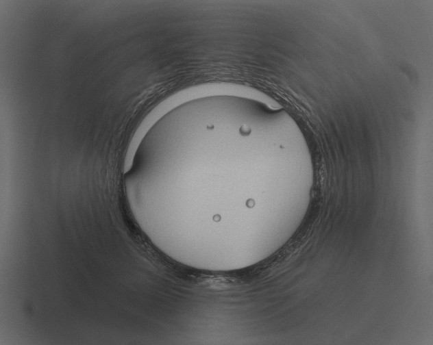 X0000116320611200912291534