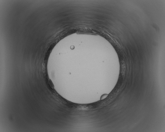 X0000116320613200912291534