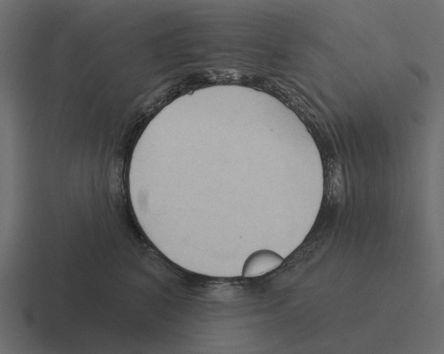 X0000116320616200912291534