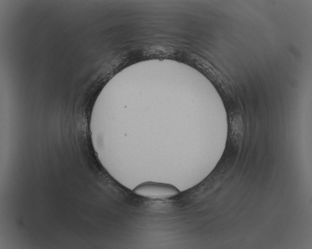 X0000116320617200912291534