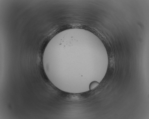 X0000116320618200912291534