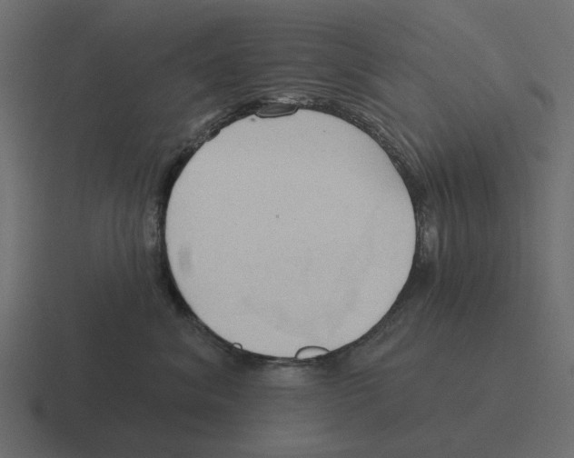 X0000116320620200912291534