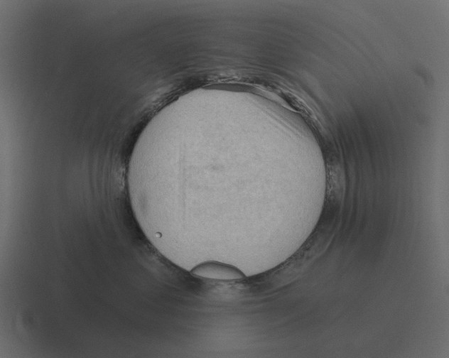 X0000116320621200912291534