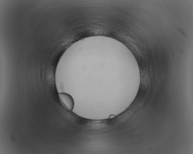 X0000116320622200912291534