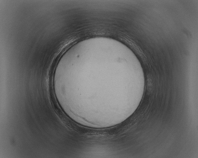 X0000116320626200912291534