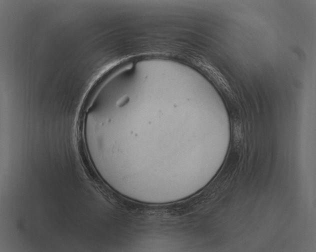 X0000116320628200912291534