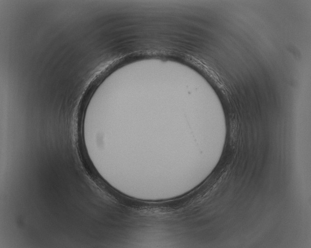 X0000116320629200912291534