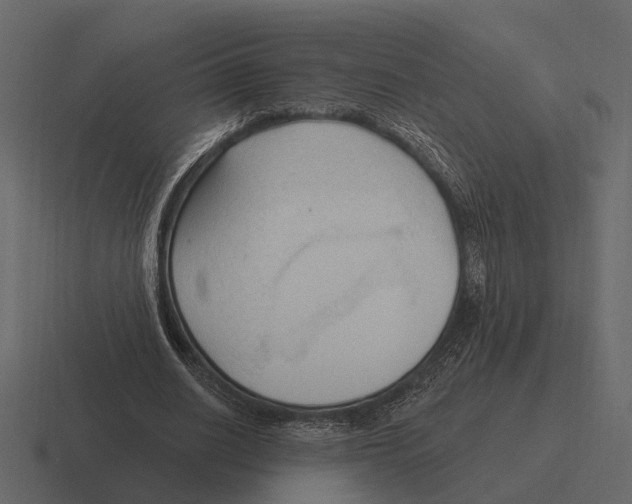 X0000116320630200912291534