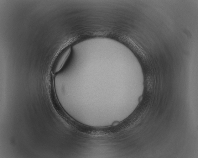 X0000116320634200912291534