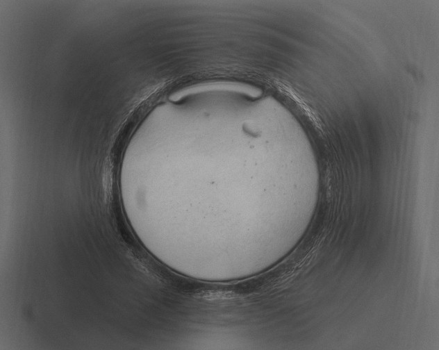 X0000116320637200912291534