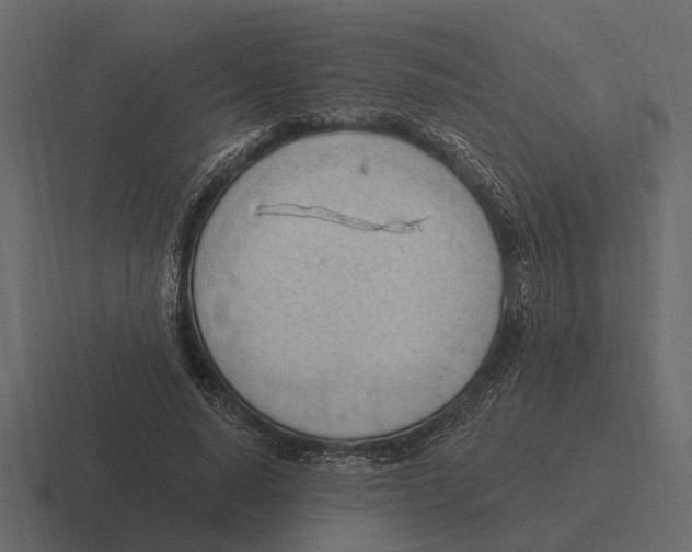 X0000116320640200912291534