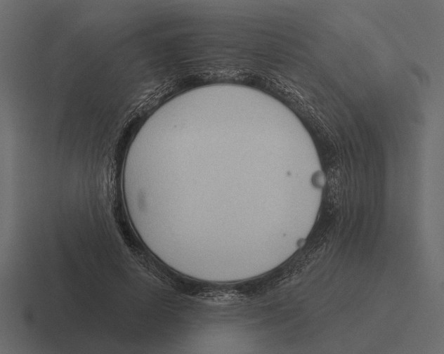 X0000116320642200912291534