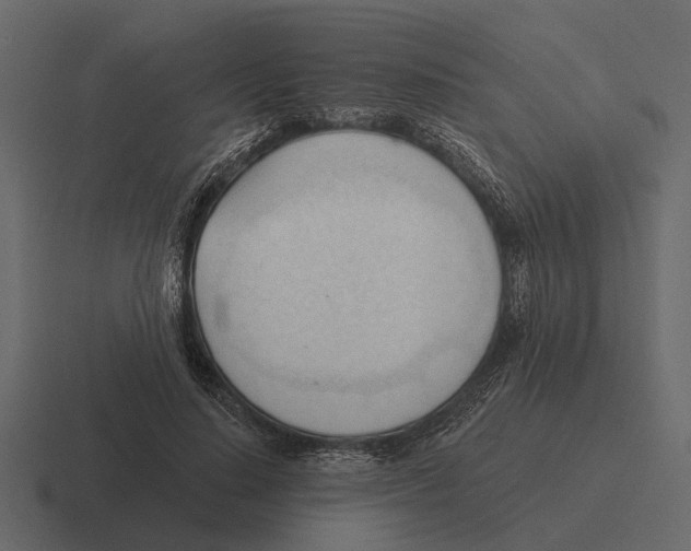 X0000116320644200912291534