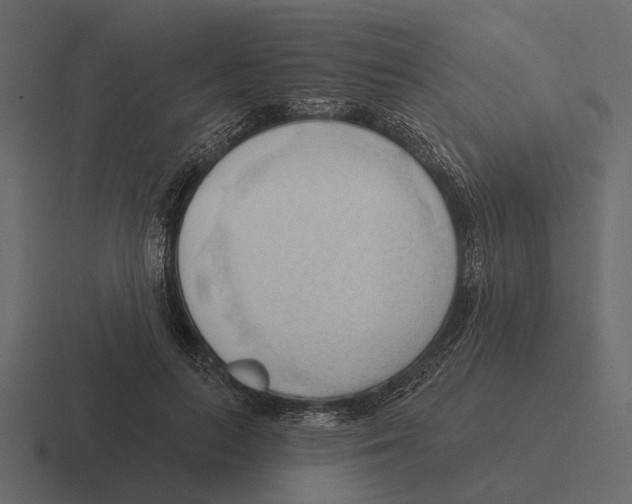 X0000116320647200912291534