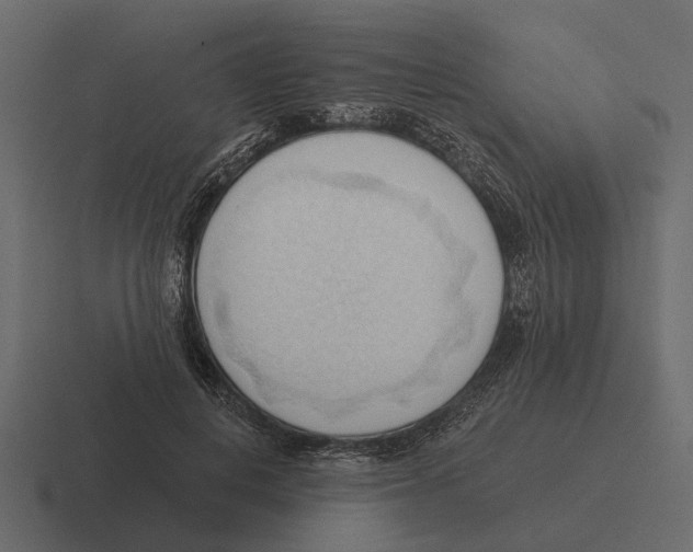 X0000116320648200912291534