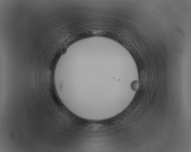 X0000116320650200912291534