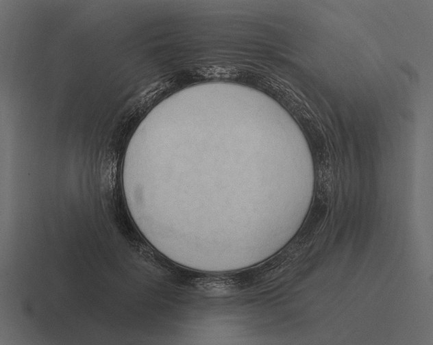 X0000116320652200912291534