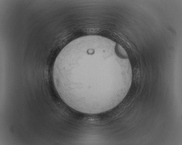 X0000116320655200912291534