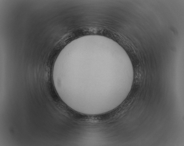 X0000116320656200912291534