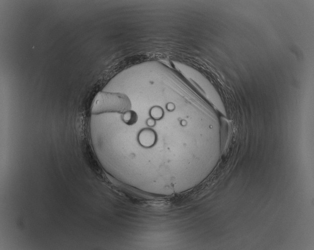 X0000116320659200912291534