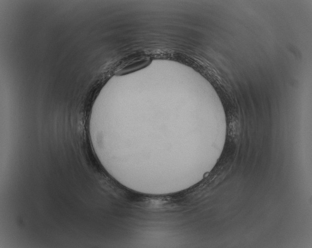 X0000116320662200912291534