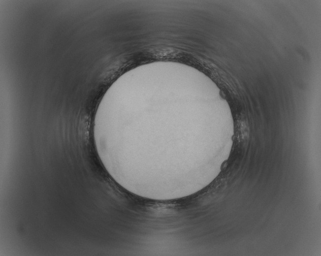 X0000116320664200912291534