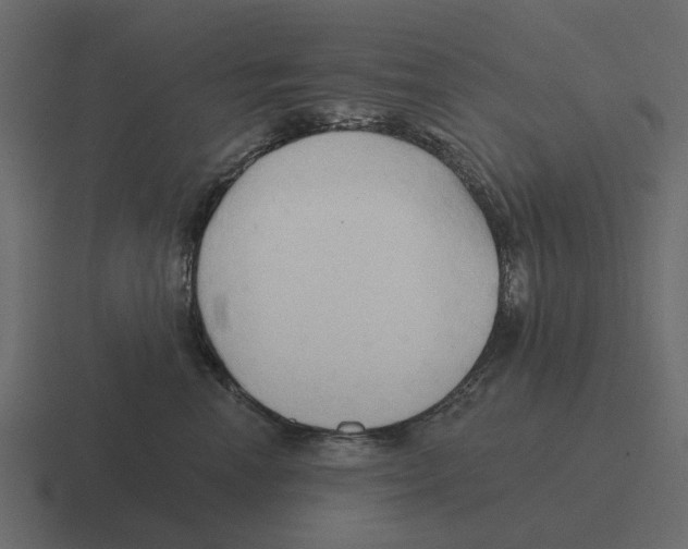 X0000116320666200912291534