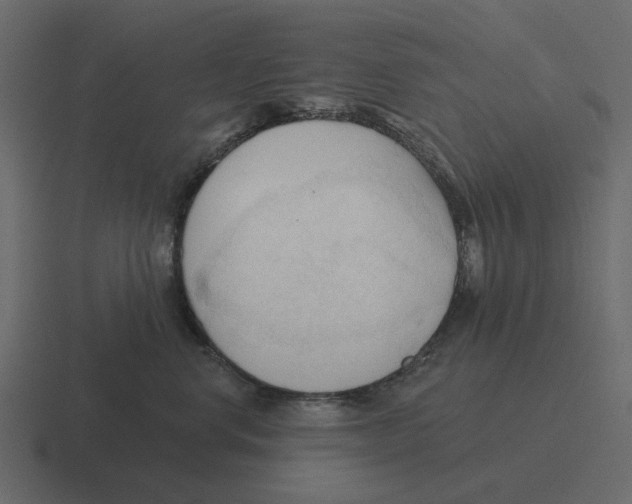 X0000116320668200912291534