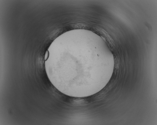 X0000116320669200912291534