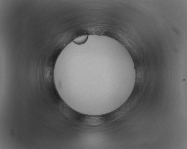 X0000116320671200912291534