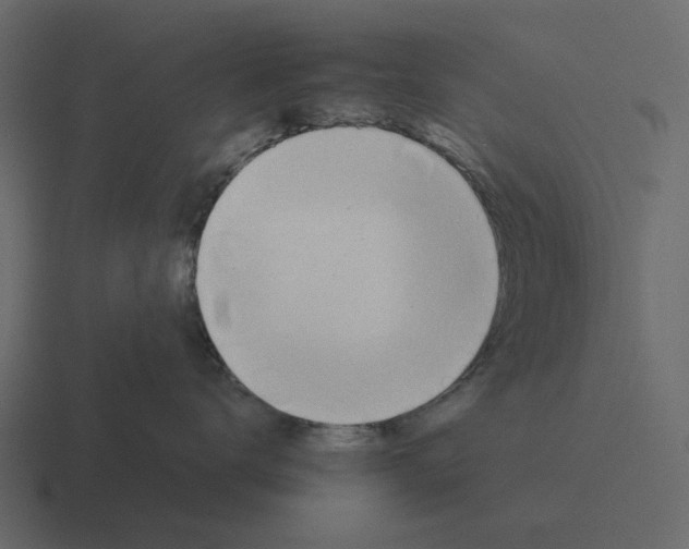 X0000116320672200912291534