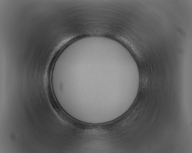 X0000116320674200912291534