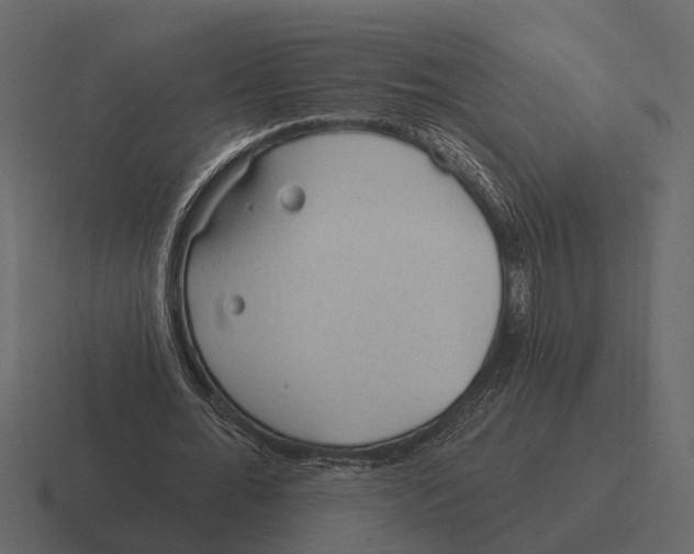 X0000116320676200912291534