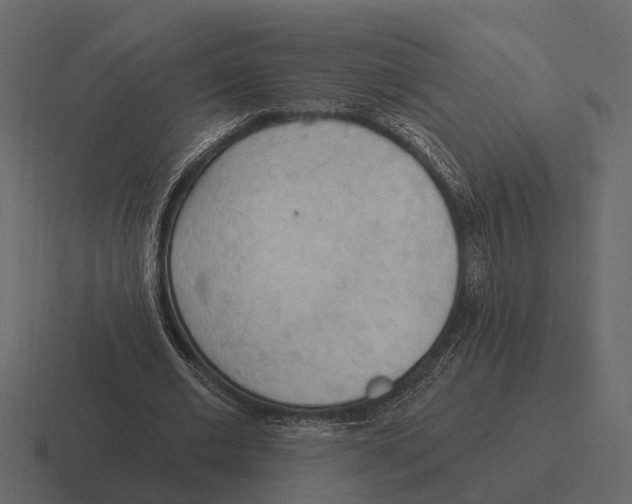 X0000116320677200912291534