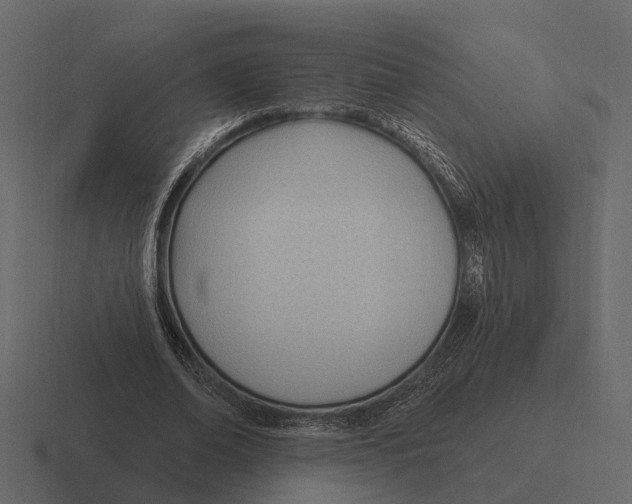 X0000116320678200912291534