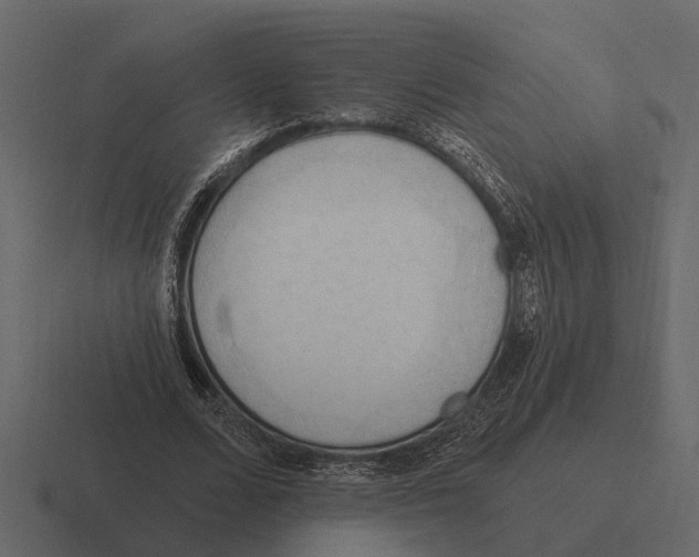 X0000116320680200912291534