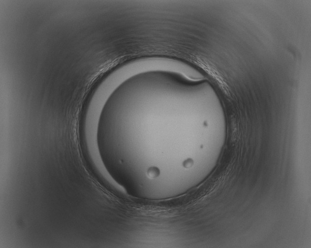 X0000116320681200912291534