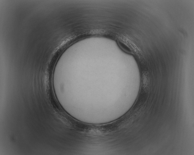 X0000116320684200912291534