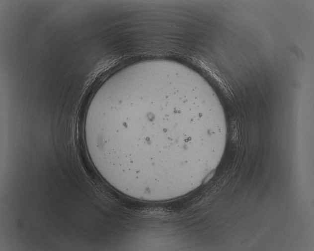 X0000116320685200912291534