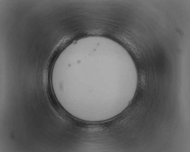 X0000116320686200912291534