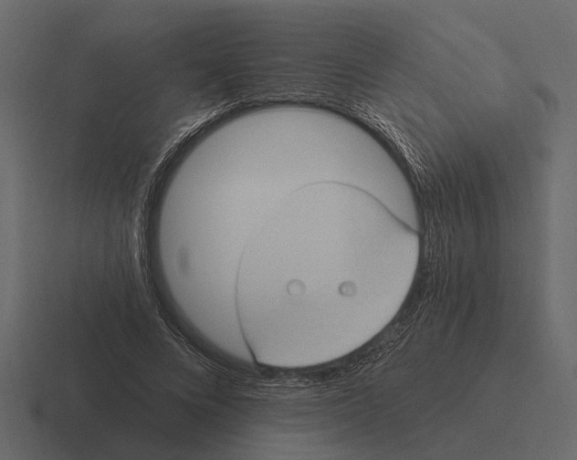 X0000116320688200912291534