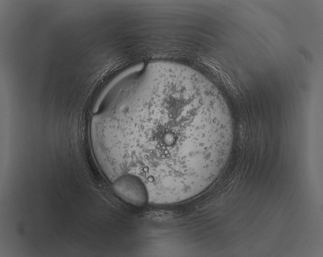 X0000116320691200912291533