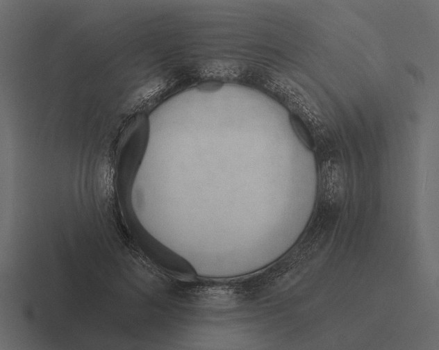 X0000116320692200912291533