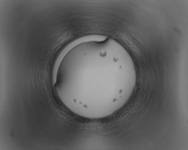 X0000116320696200912291533