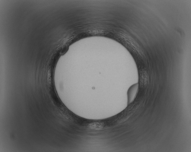 X0000116320700200912291533