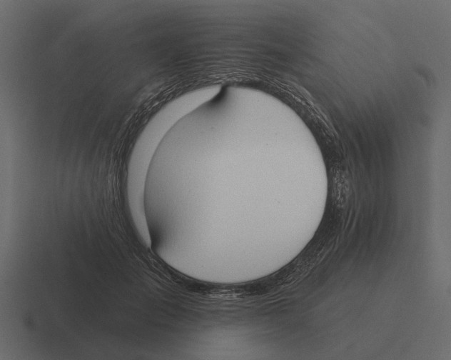 X0000116320701200912291533