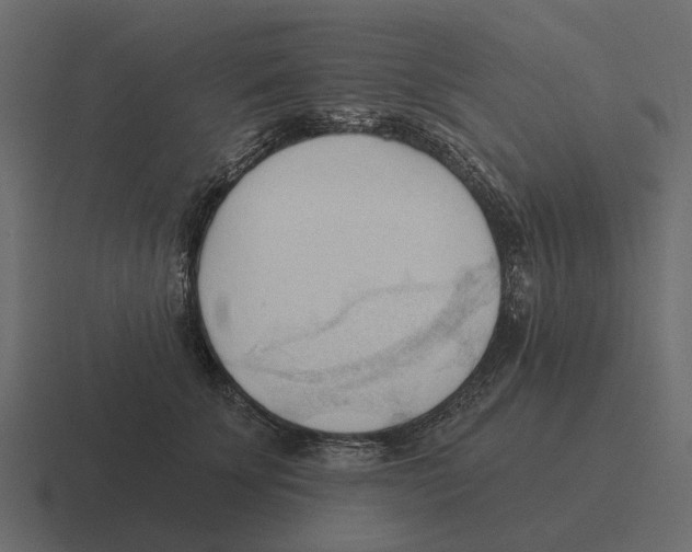 X0000116320707200912291533